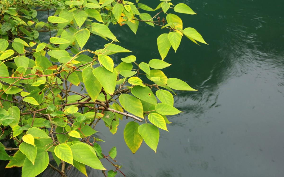 旅游渡假胜地花溪公园图片