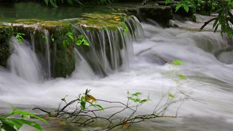 水上森林溪流美景图片