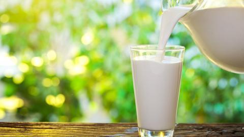 营养奶制品图片