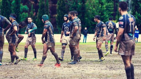 激烈橄榄球运动图片