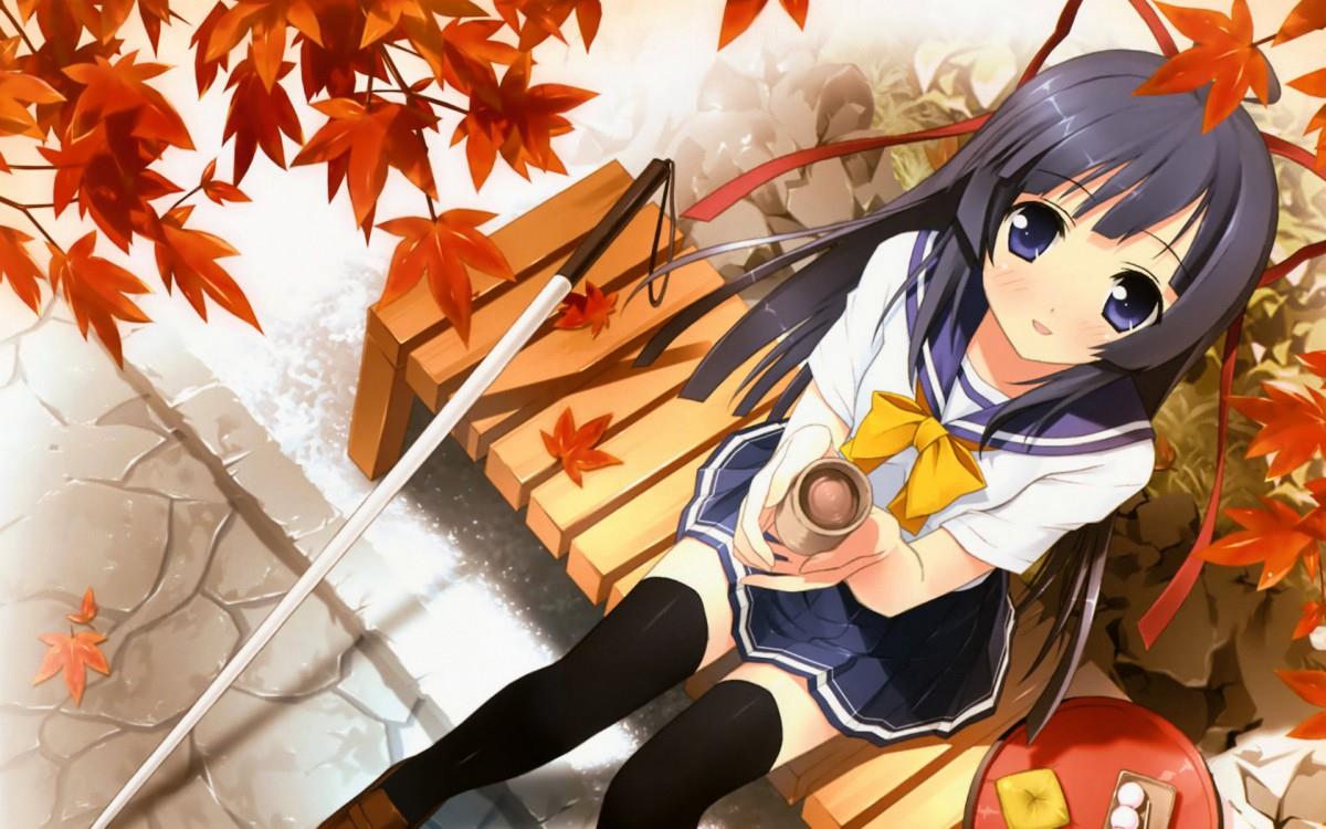 变态王子与不笑猫动画图片