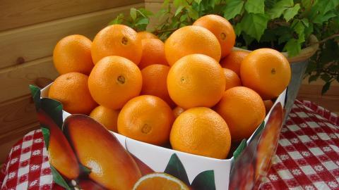 水果桔子高清图片