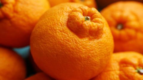 水果桔子高清图片