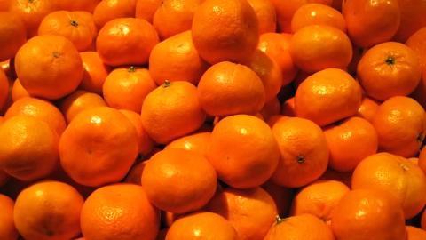 水果桔子高清图片