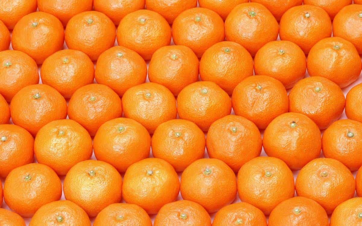 水果桔子高清图片