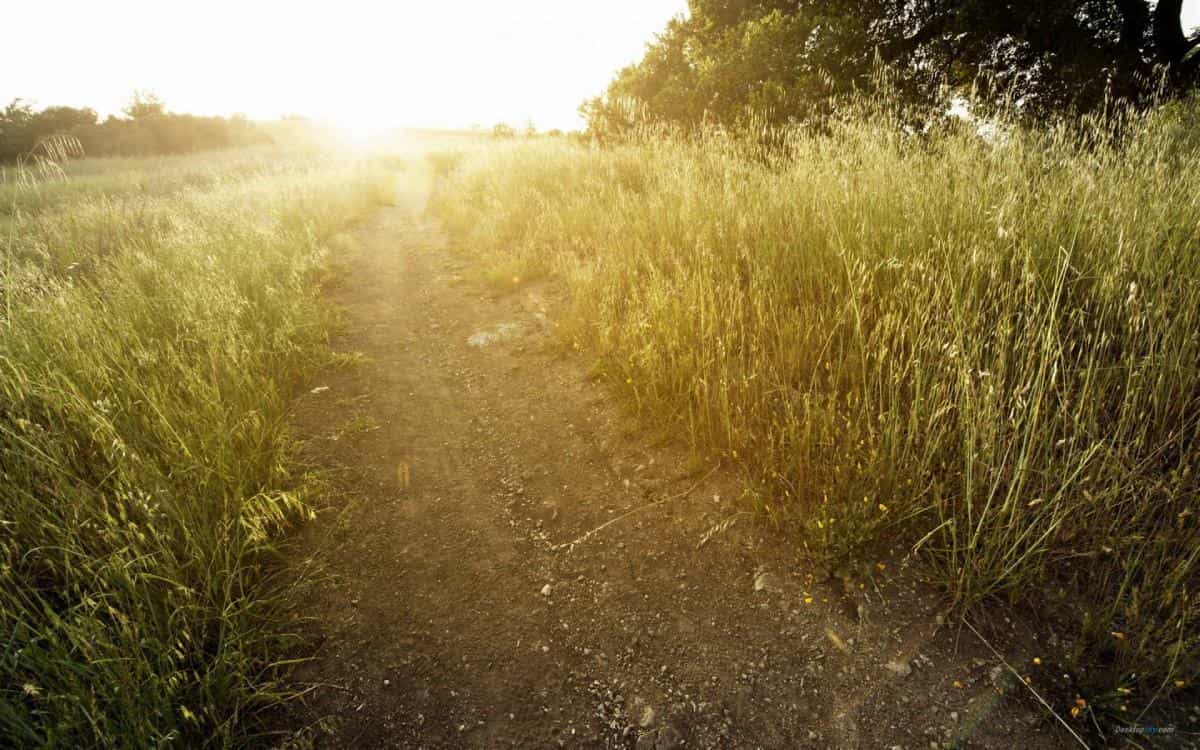 乡间小道风景图片