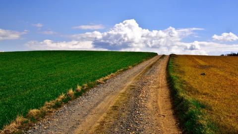 乡间小道风景图片