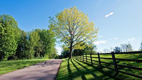 乡间小道风景图片