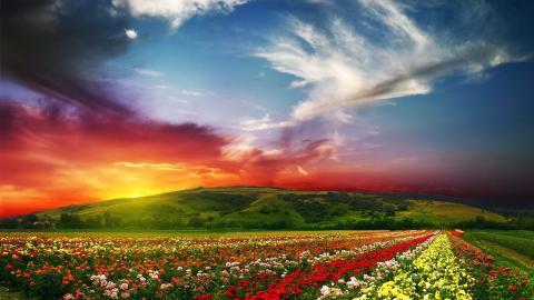 让人陶醉的自然美丽景色图片