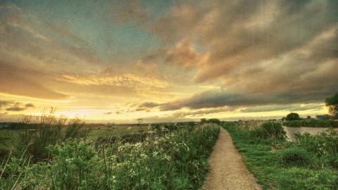乡间小道风景图片