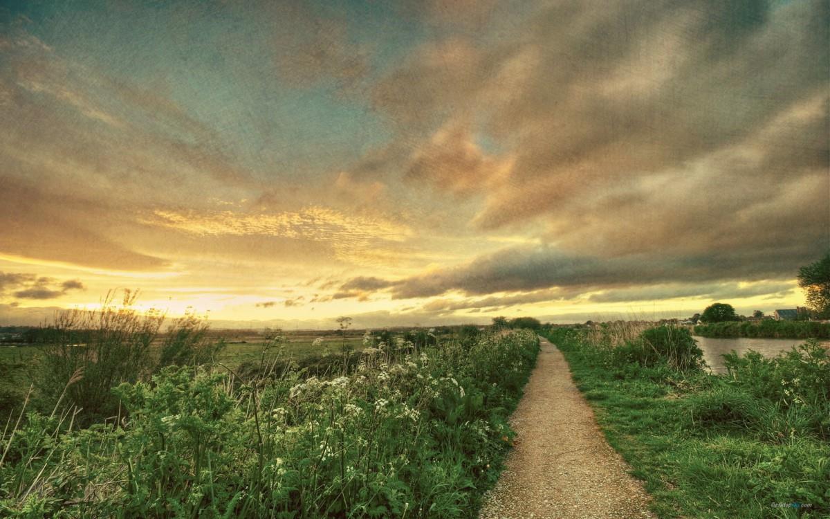 乡间小道风景图片