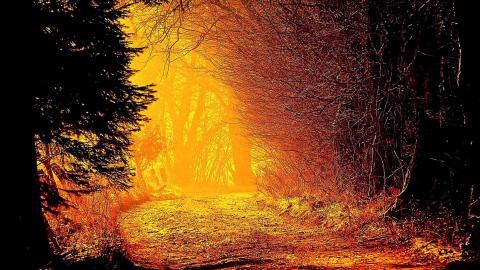 乡间小道风景图片