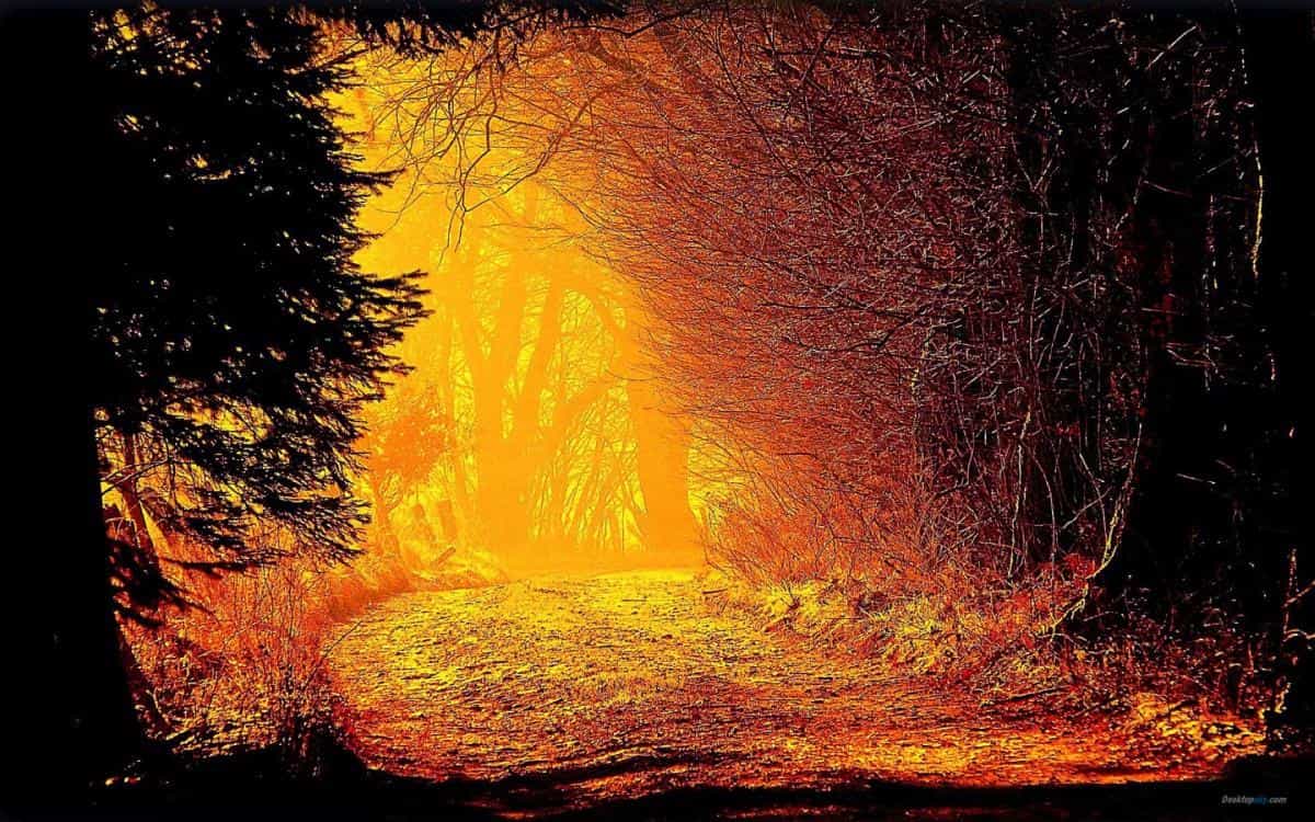 乡间小道风景图片