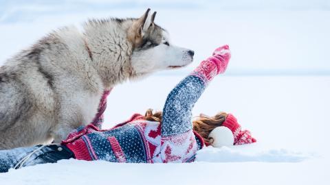美女与狗玩耍图片