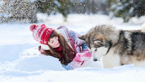 美女与狗玩耍图片