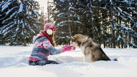 美女与狗玩耍图片