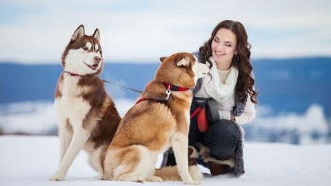 美女与狗玩耍图片