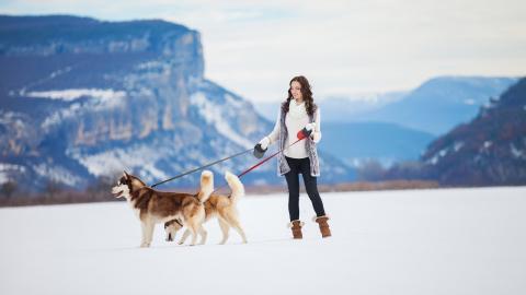 美女与狗玩耍图片