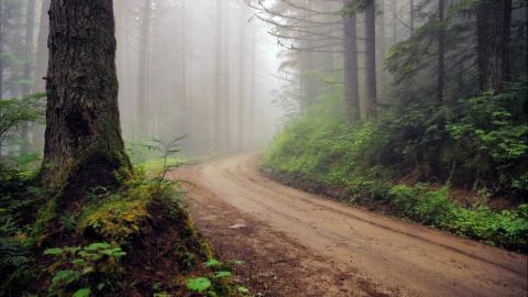 乡间小道风景图片