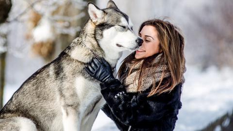 美女与狗玩耍图片