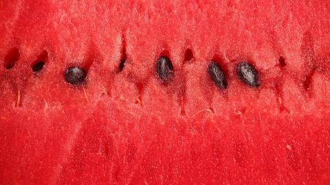 夏日清凉西瓜图片