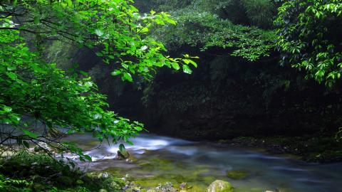 山间溪流美丽风景图片