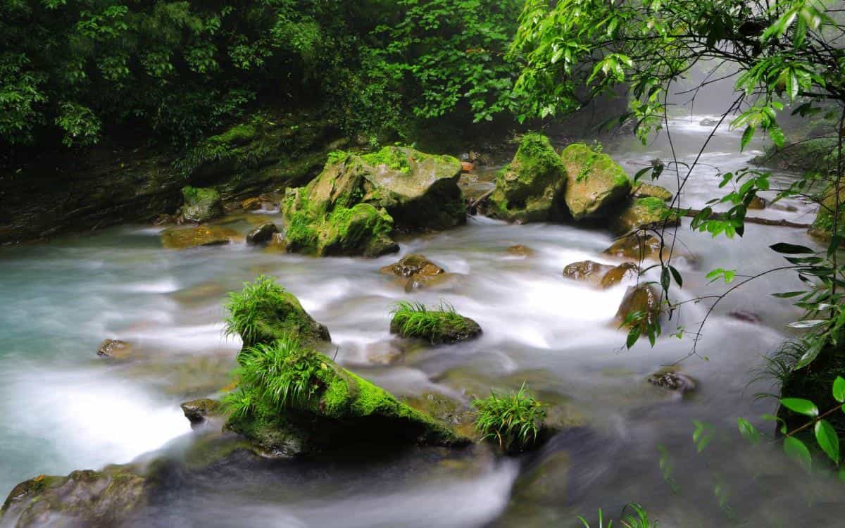 山间溪流美丽风景图片
