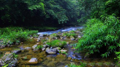 山间溪流美丽风景图片