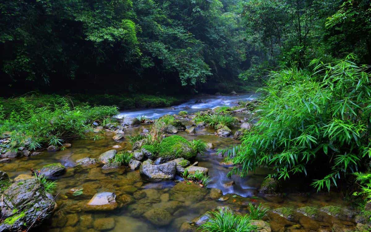 山间溪流美丽风景图片