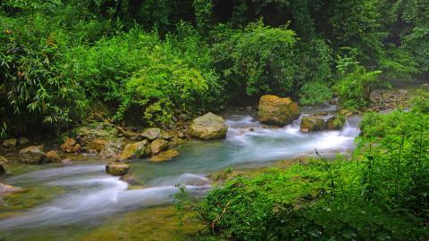 山间溪流美丽风景图片