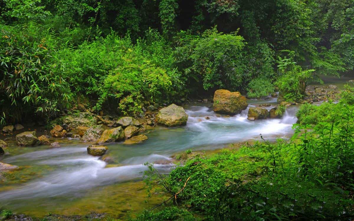 山间溪流美丽风景图片