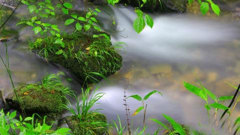 山间溪流美丽风景图片