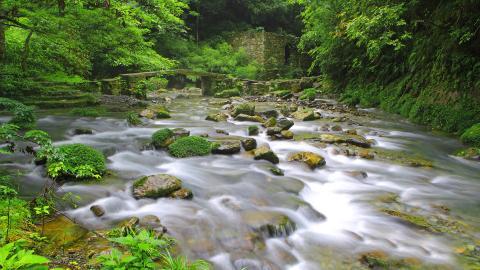 山间溪流美丽风景图片