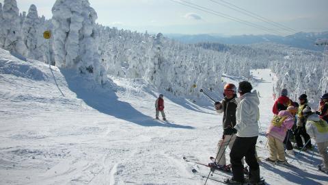 户外滑雪运动图片2