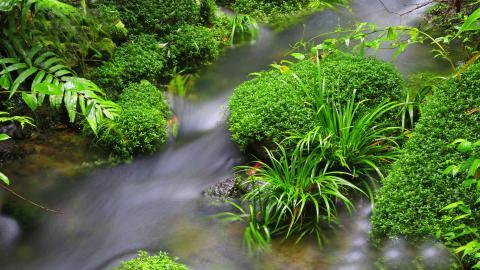 山间溪流美丽风景图片