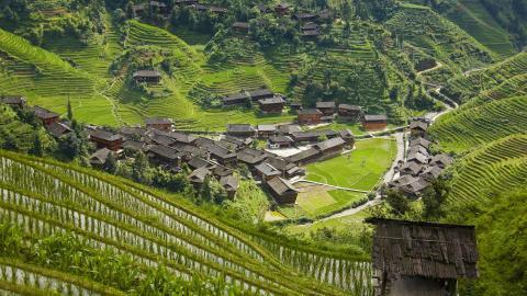 桂林龙胜龙脊梯田图片