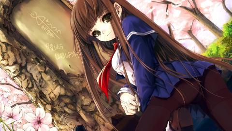 动漫美少女图片锦集