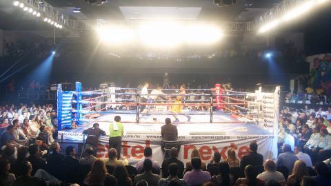 拳击比赛格斗图片