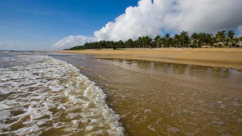 广阔的大海沙滩图片