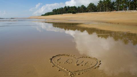 广阔的大海沙滩图片