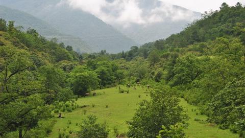 滇藏线风景图片