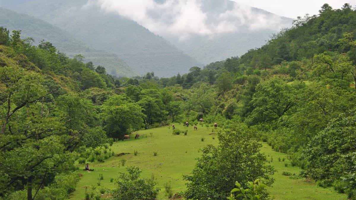 滇藏线风景图片