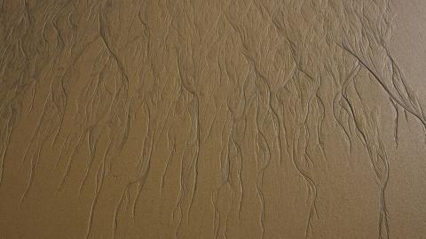 广阔的大海沙滩图片