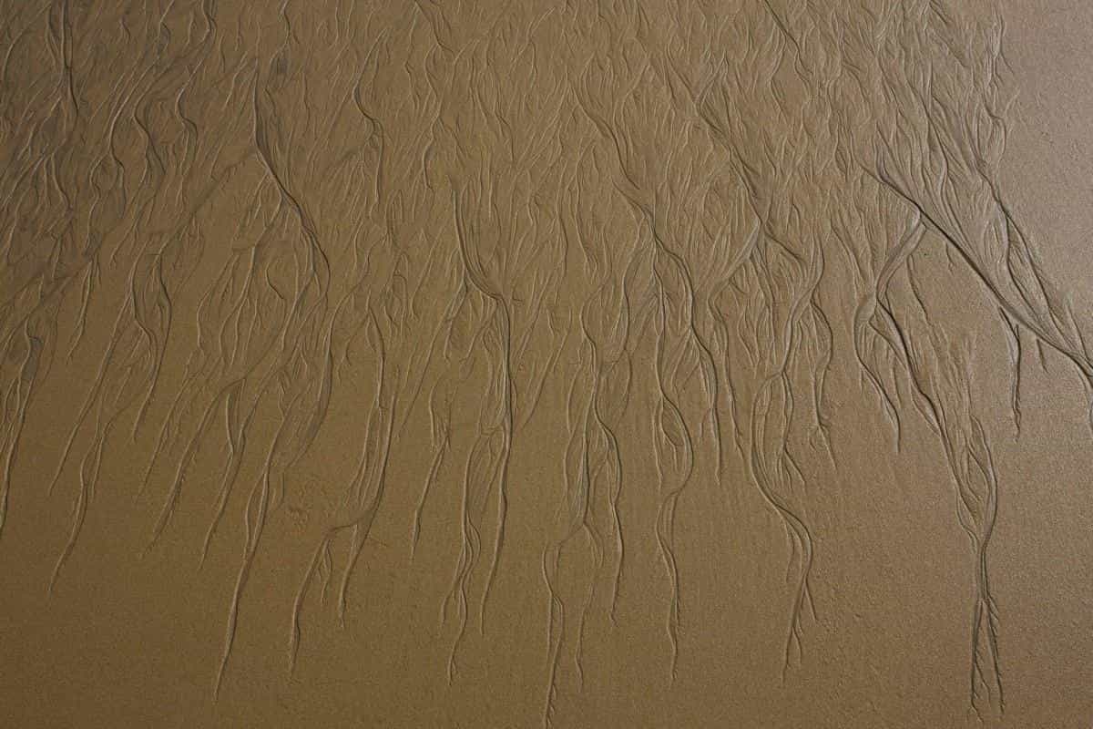 广阔的大海沙滩图片