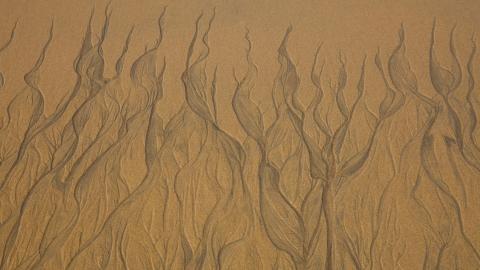 广阔的大海沙滩图片