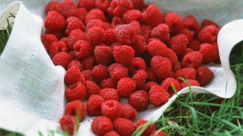 诱人的树莓图片