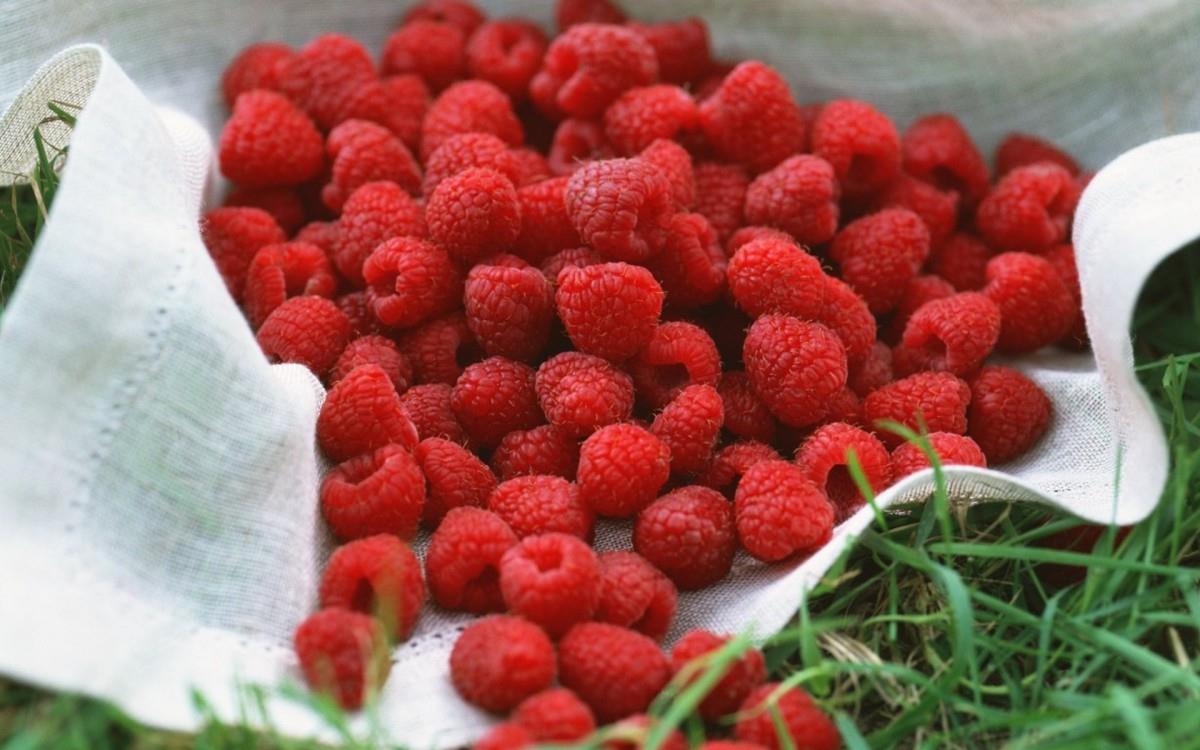 诱人的树莓图片