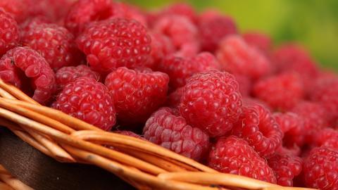 诱人的树莓图片