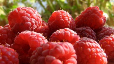 诱人的树莓图片