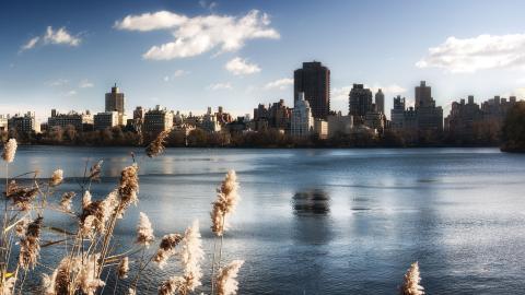 纽约都市风光图片